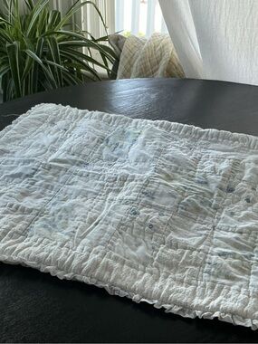 EUC Simply Shabby Chic Ruffled Pillow Sham